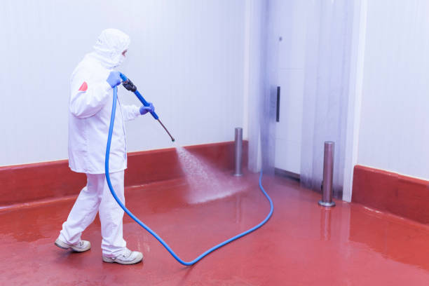  Belford, NJ Pressure Washing Pros