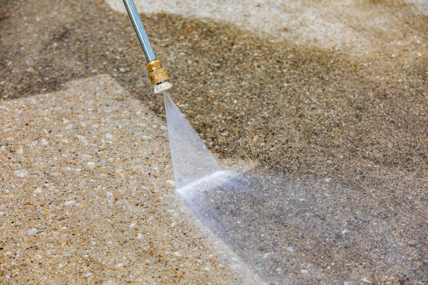 Best Roof Cleaning and Mildew Removal in Belford, NJ